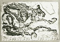 armi-51x36-1995-usa.gif