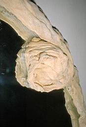 DSCF0201.JPG